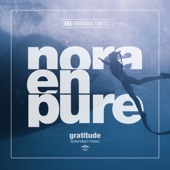 Gratitude (Extended Mix) artwork