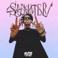 Summer Fling - Single - Palboy