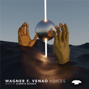 Voices - Single