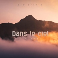 Salvan x Dans le ciel - Single - Mad Syst'M