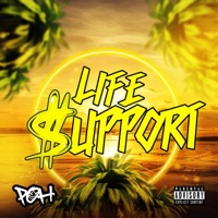 Life Support - Single - Dizzy Flakco