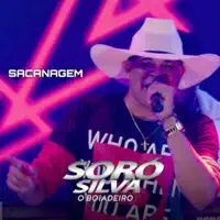 Festa no Interior — Soró Silva