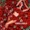 StickyWow @IamStickyWow - Too Much Rules