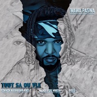 Tout sa ou vle - EP - Wawa Paswa