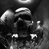 1996 - Single - FXSVC