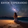 Estoy Esperando / Guaracha (Aleteo) cover art