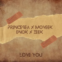Love You - Single - Princesea