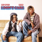 I Don't Care artwork