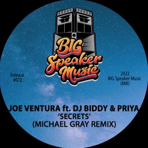 Secrets (feat. Priya & DJ Biddy) (feat. Priya & DJ Biddy) - EP [Michael Gray Remix]