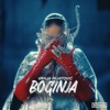 Boginja