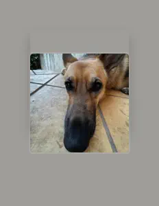 Cooking in the Pot: песни, клипы, биография, даты выступлений и многое другое.