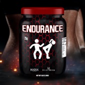 Endurance artwork