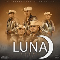 Luna Llena (Live) - Single - Los Armadillos de la Sierra