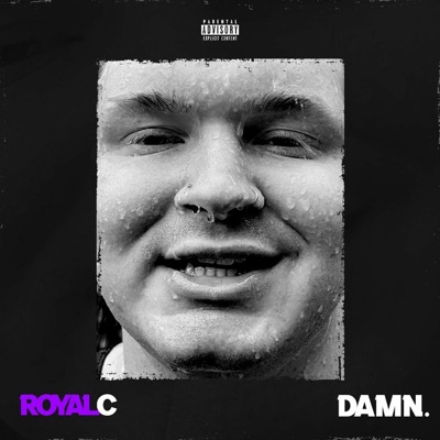 Damn. - Single