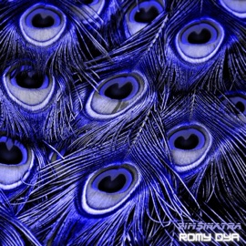 YEBO (feat. Romy Dya) Zim$inatra