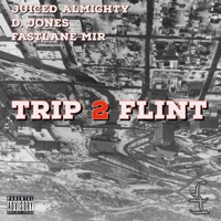 Trip 2 Flint (feat. D. Jones & FastLane Mir) - Single - Juiced Almighty