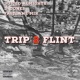 Trip 2 Flint feat D Jones FastLane Mir Single