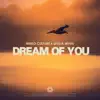 Stream & download Dream of You - Single