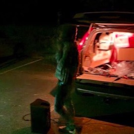 Arcteryx Freestyle crowboy