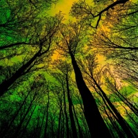 Perfect Circle (feat. Stefanie Kisamore, Peter Rand, Phillippe Pansard & Tony Powell) - Single - Brian Henry