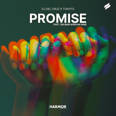Promise (feat. Delmar African Wine) - Single