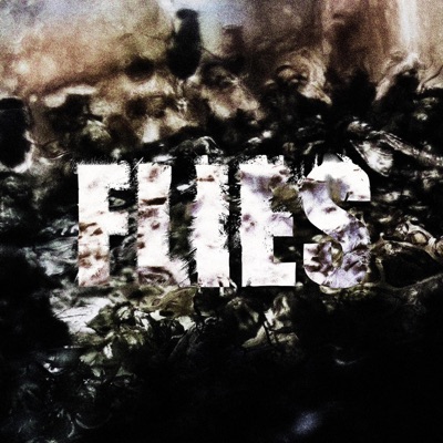 Flies - Single
