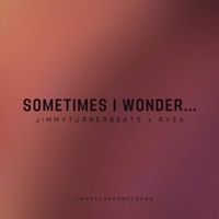 Sometimes I Wonder... - Single - jimmyturnerbeats & Ryza