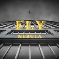 Fly - Single - Nebula