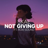 Not Giving Up (feat. Roxi Sound) - Single - Skae
