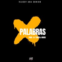 Palabras - Single - Vlassy