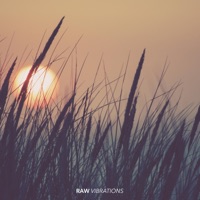 Raw Vibrations - Piano Emotional Cinematic