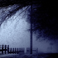 Fiftyonefifty - Single - NooSense