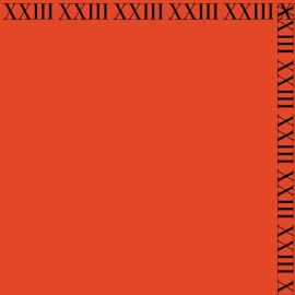 Lion Something maybeanton