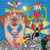 Super Furry Animals - Show Your Hand