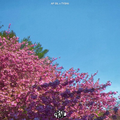 Detached - Single
