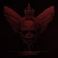 Angel of Death - Single - Negative Zero