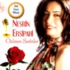 Nesrin Ersipahi - Haberler Yollasam