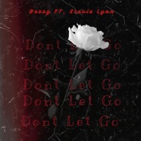 Dont Let Go (feat. Stevie Lynn) - Single - Slim Rich Productionz