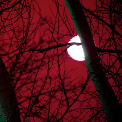 BLOOD MOON (feat. kuudere) - Single