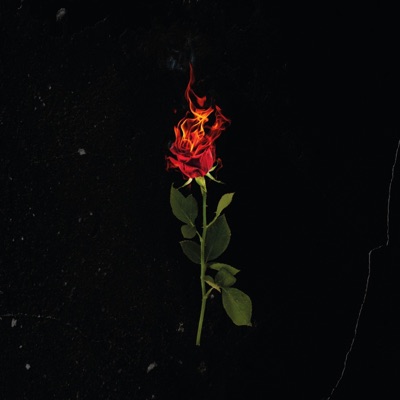 Bella Da Morire - Single