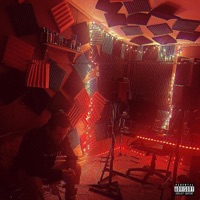 Gold Roses (Remix) [Remix] - Single - T-Burk