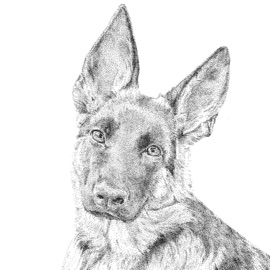 Best Friend Orion Song