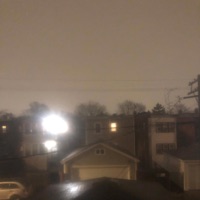 delusional - Single - ex dante