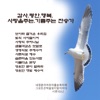박인범 - 아름다운 본향
