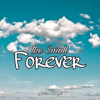 The Small Forever - Single