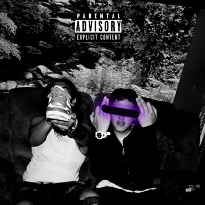 1100 x 6442 Freestyle (feat. Zanox) - Single