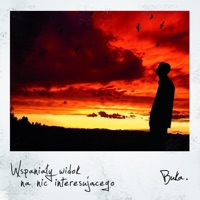 Wspaniały Widok Na Nic Interesującego - Buka