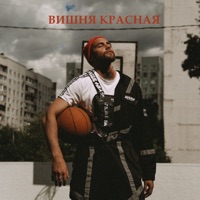 Вишня красная - Single - АлСми