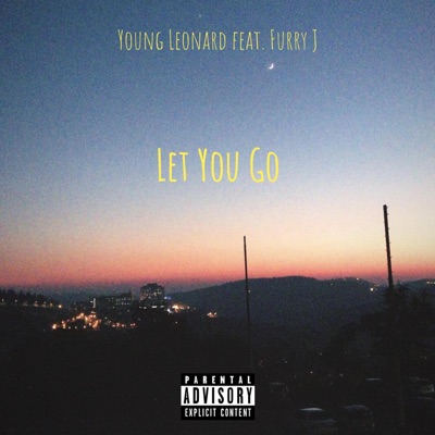 Let You Go (feat. Furry J) - Single