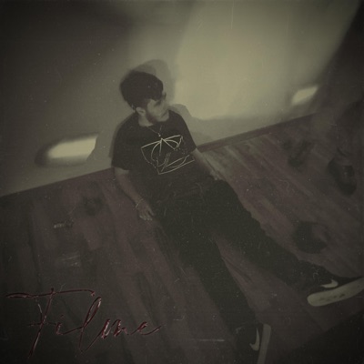 Filme - Single